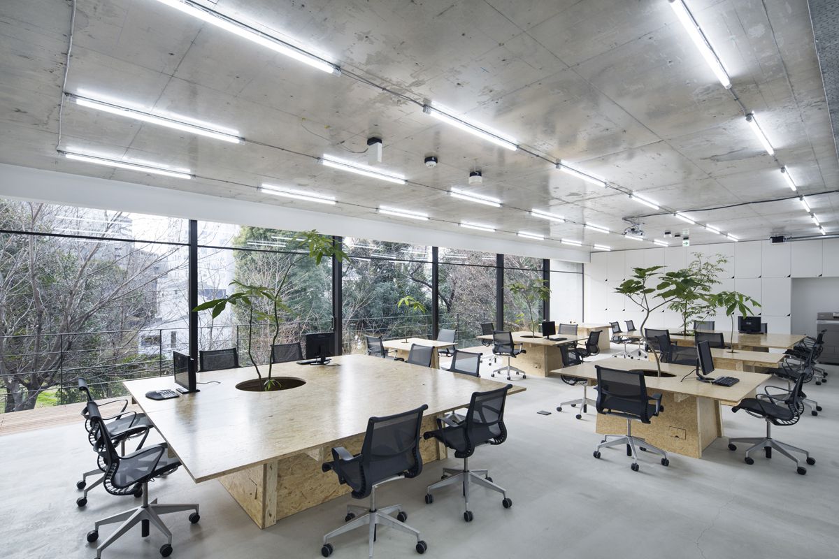 thiết kế nội thất văn phòng phong cách tối giản 2